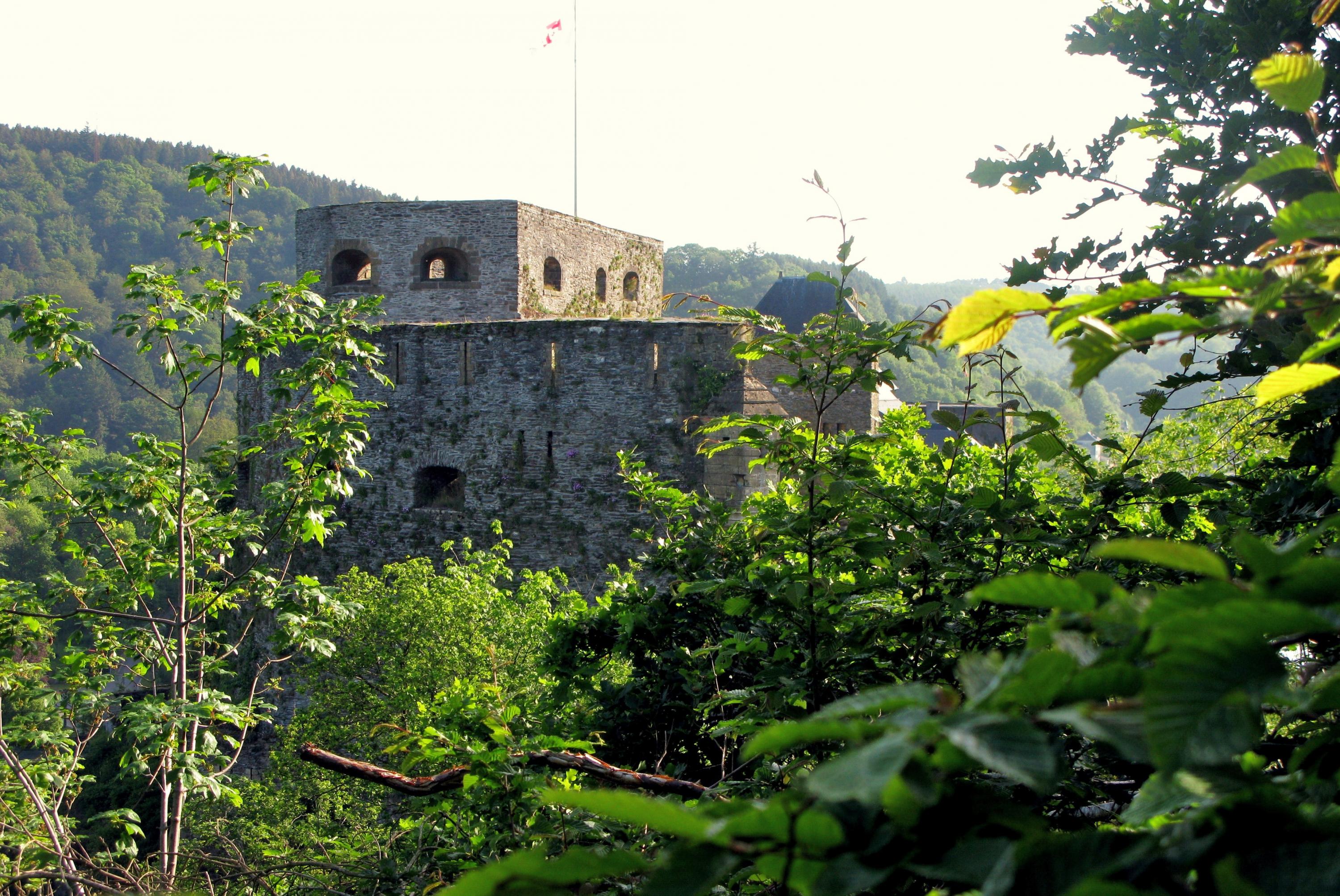 Bouillon