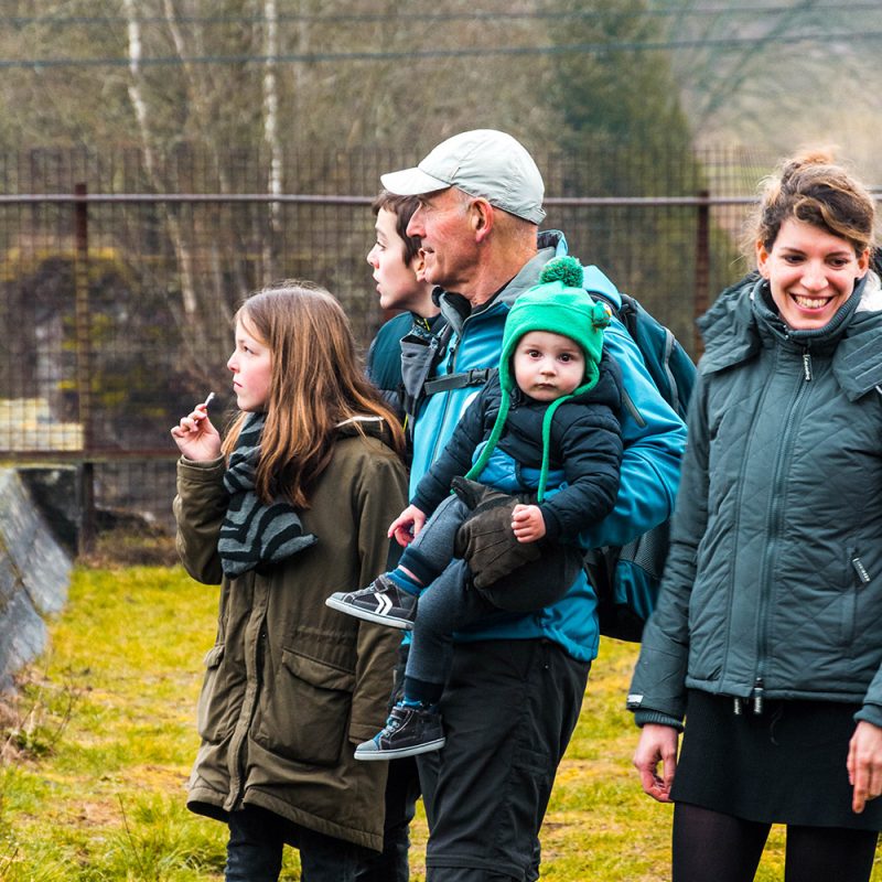 Familie en groepen in de Ardennen